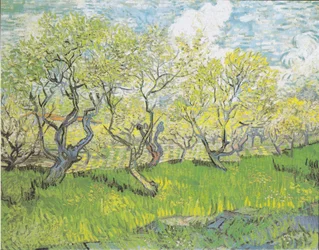 Bloeiende boomgaard